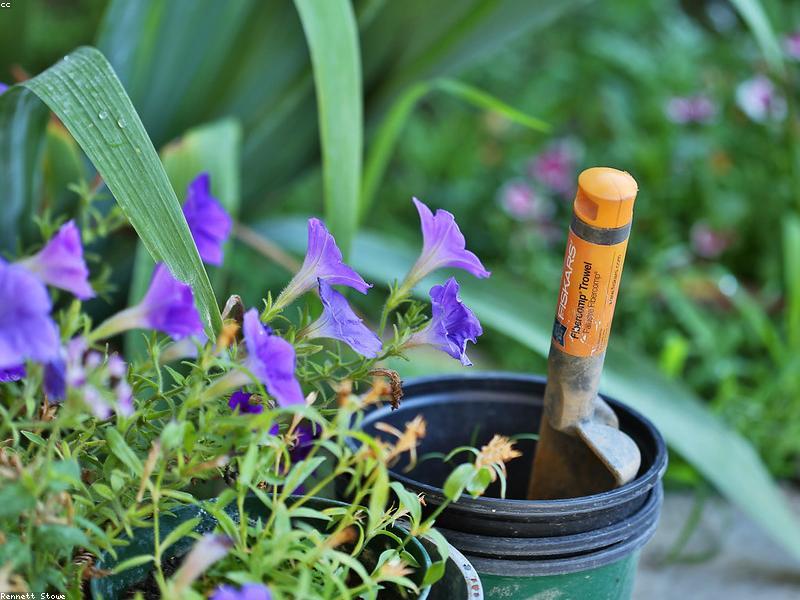 Handschaufel (Pflanzkelle) steckt in einem Blumentopf