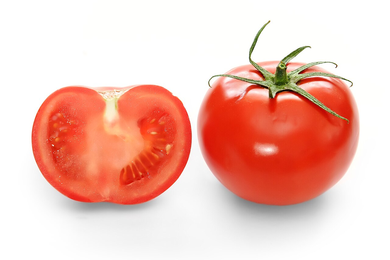 Tomatenpflanze im Garten
