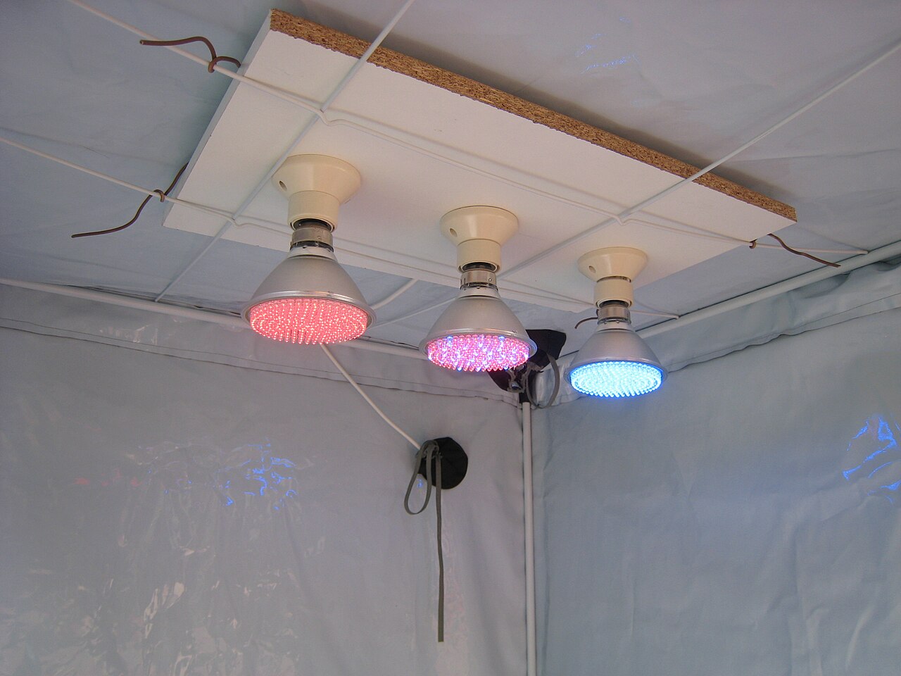Vollspektrum-Pflanzenlampe