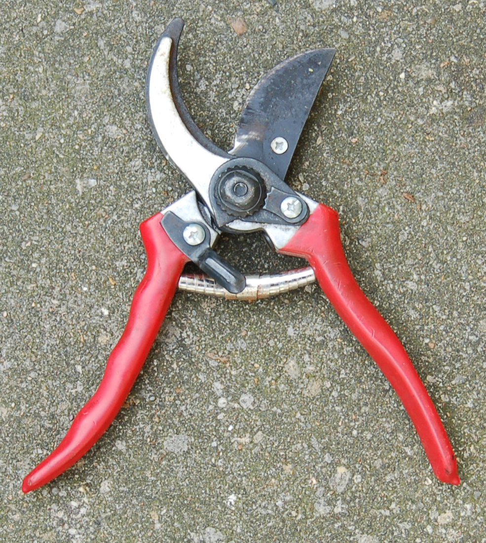 Gartenschere im Vergleich