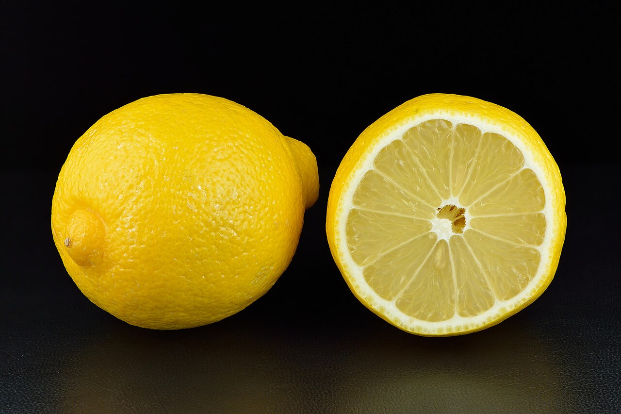 Zitronenbaum (Citrus limon)