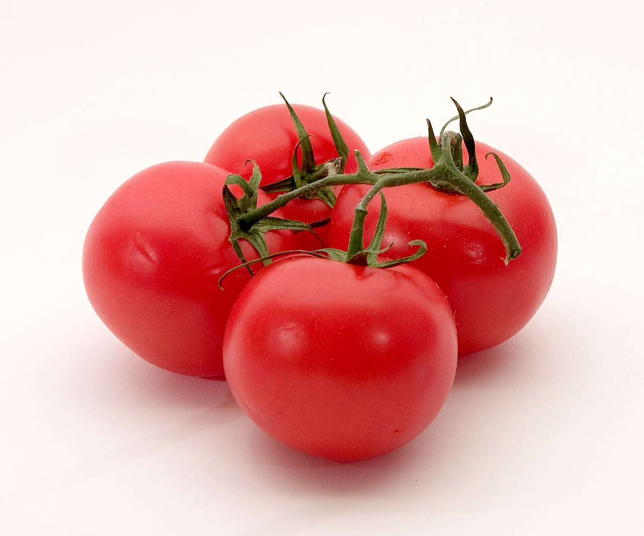 Tomatenpflanze