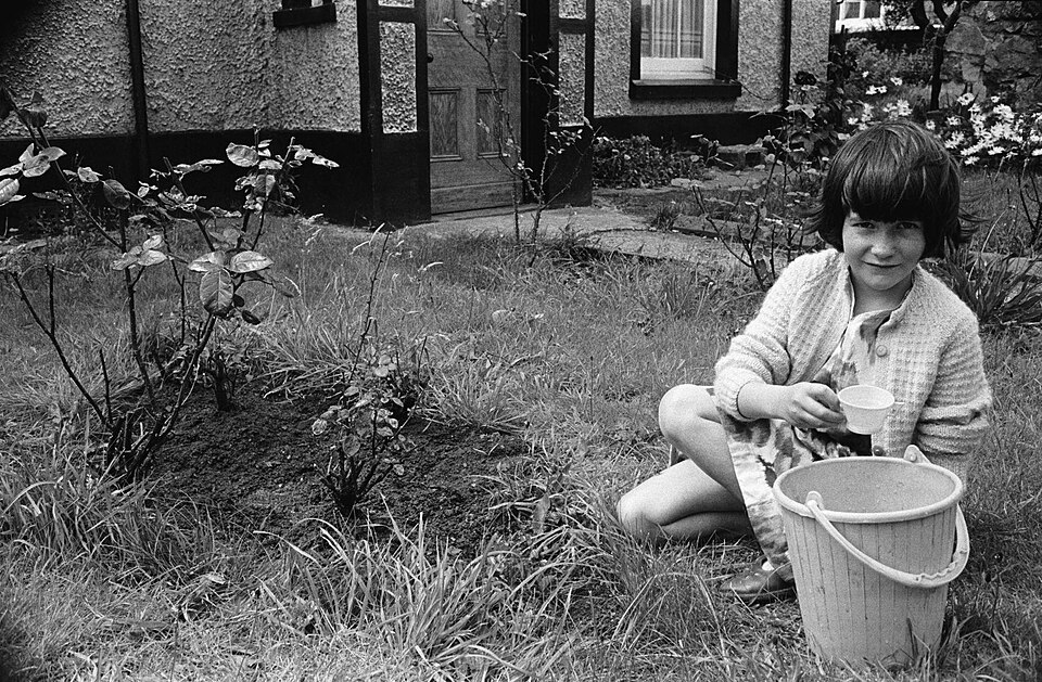 Kind gießt junge Pflanzen im Garten mit einem Wassereimer