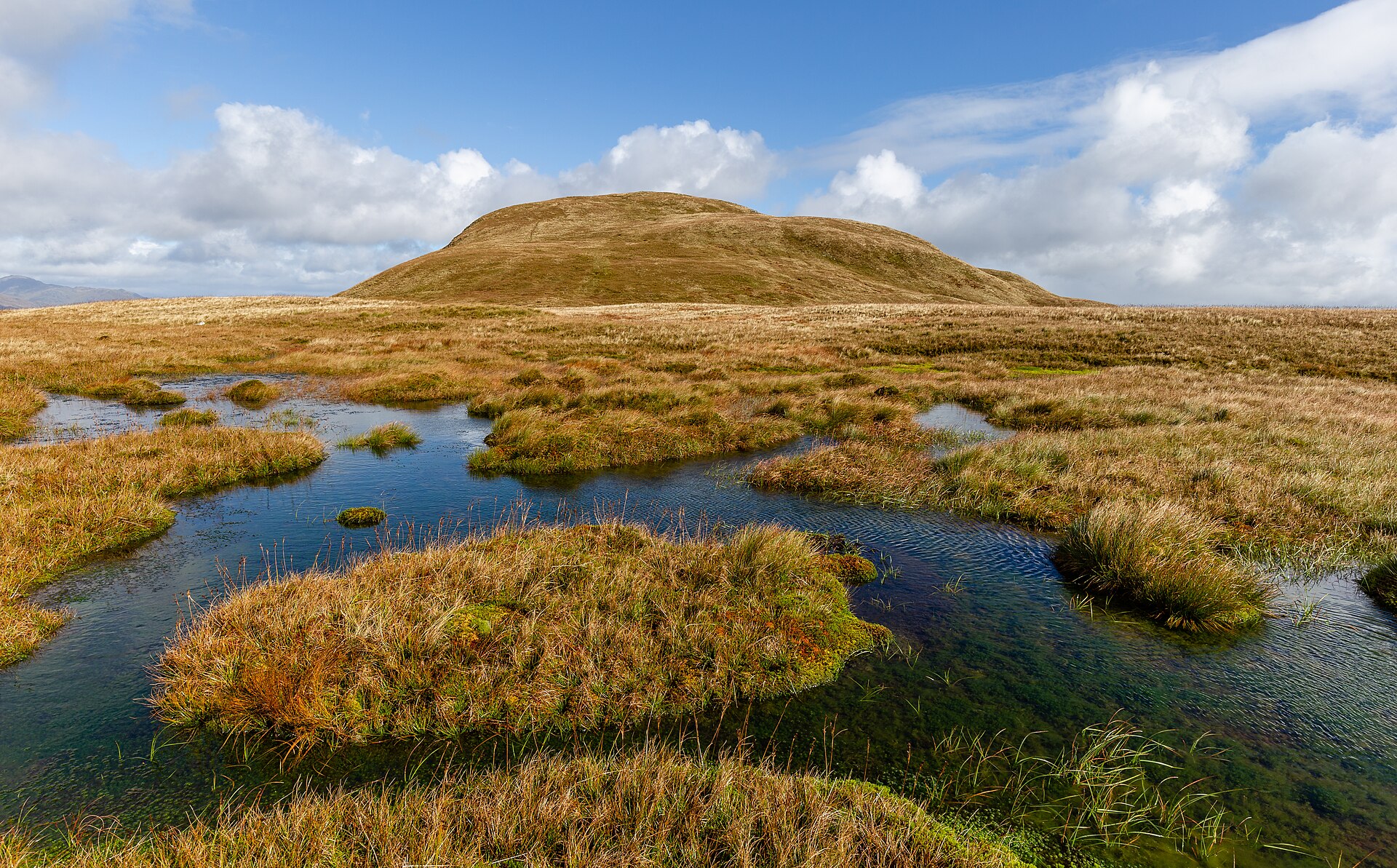Naturbelassenes Hochmoor als Torfquelle – Grund für torffreie Erde