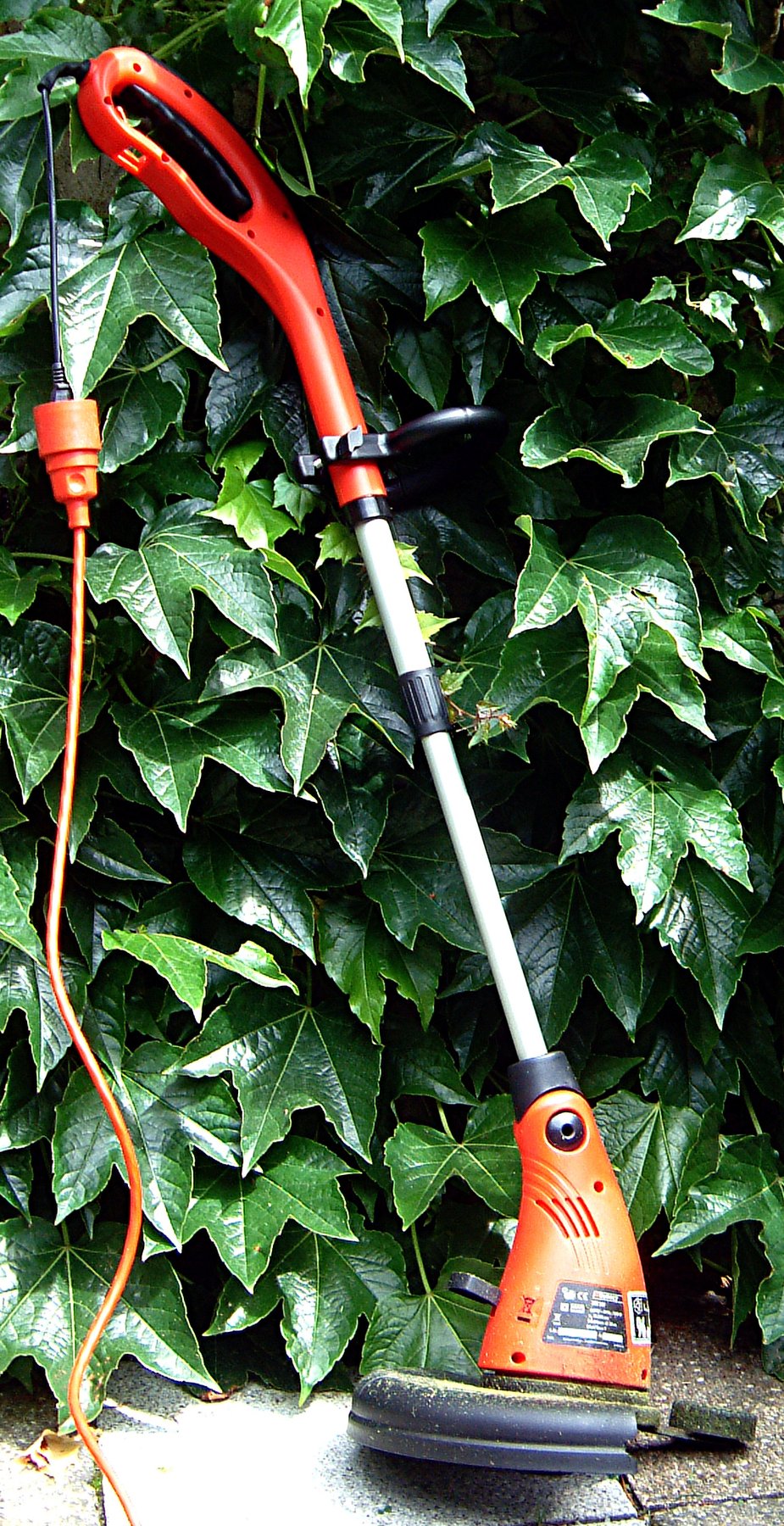 Elektrischer Rasentrimmer lehnt an einer Hecke